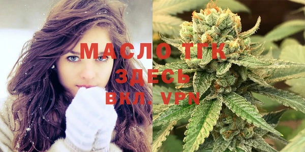 индика Воткинск