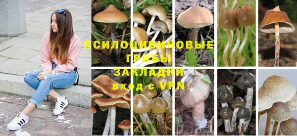 гидра Наволоки