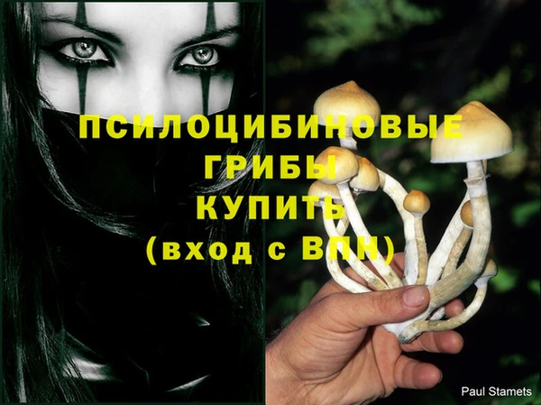 PSILOCYBIN Дмитров