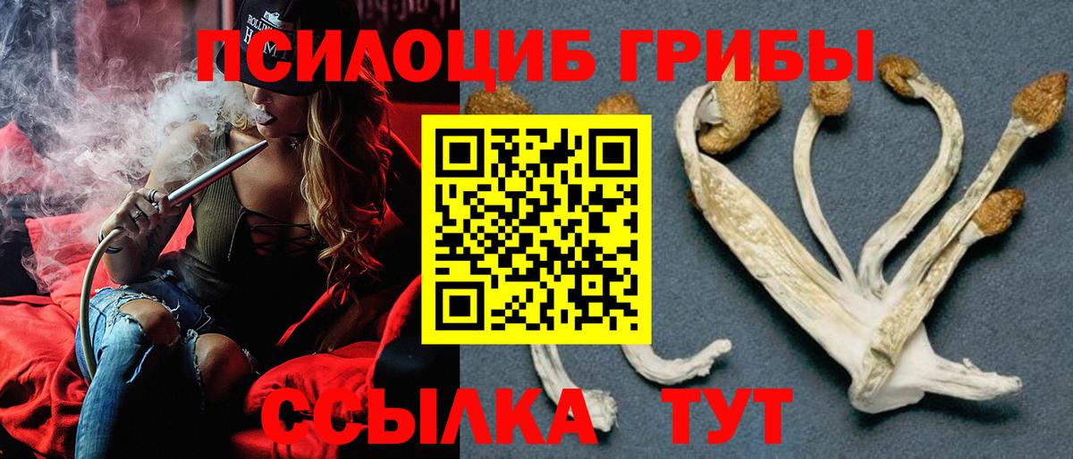 Галлюциногенные грибы Cubensis  Псилоцибиновые грибы Magic Shrooms  Отрадное  Вход с VPN 